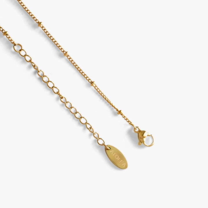 Zodiac Charm Necklace