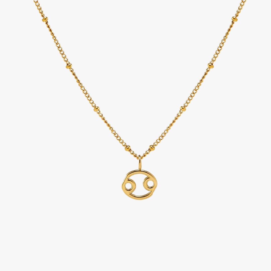 Zodiac Charm Necklace