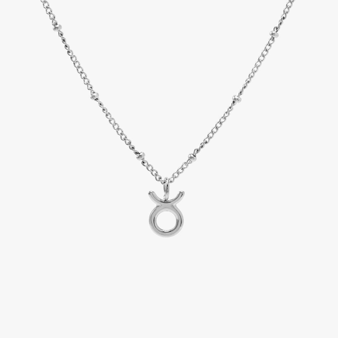 Zodiac Charm Necklace